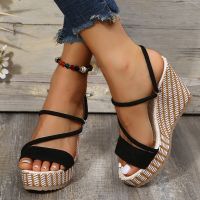 2023 New Fashion Wedge Sandals Women Summer Platform Super High Heels Female Sandals Open Toe Thick Bottom Beach Shoes Woman