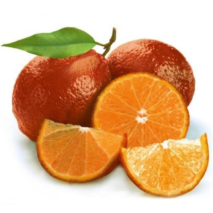 20-เมล็ดพันธุ์-เมล็ด-มะนาวแดง-ผลสีแดง-red-lemon-tree-seed-organic-fruit-seed-bonsai-blood-orange-seed-อัตราการงอกสูง-80-85
