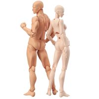 1 Set Drawing Figures For Artists Action Figure Model Human Mannequin Man and Woman Set Action Toy Figure Anime Figure Figurine