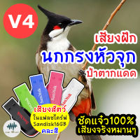 เสียงนกกรงหัวจุก V.4 (ป่าตากแดด) เมม/แฟลชไดร์ฟเสียงนกกรงหัวจุก มีเก็บเงินปลายทาง เสียงจริง ชัดแจ๋ว100% ไม่มีโฆษณาแทรก (MP3 เสียงฝึกนก)