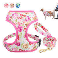 น่ารักพิมพ์สายรัดสุนัขชุดตาข่ายสัตว์เลี้ยง Puppy Cat Harness เดินสำหรับสุนัขขนาดกลางขนาดเล็กแมว Chihuahua-Youerd