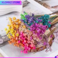 KLOMKZ 30pcs งานฝีมือ DIY อุปกรณ์จัดงานแต่งงาน พืชธรรมชาติ มินิเดซี่ ช่อดอกไม้ ดาวดวงเล็ก ดอกไม้ประดิษฐ์