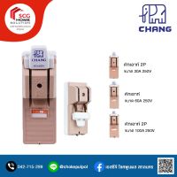 CHANG คัทเอาท์ 2P ขนาด 100A/ 60A/ 30A