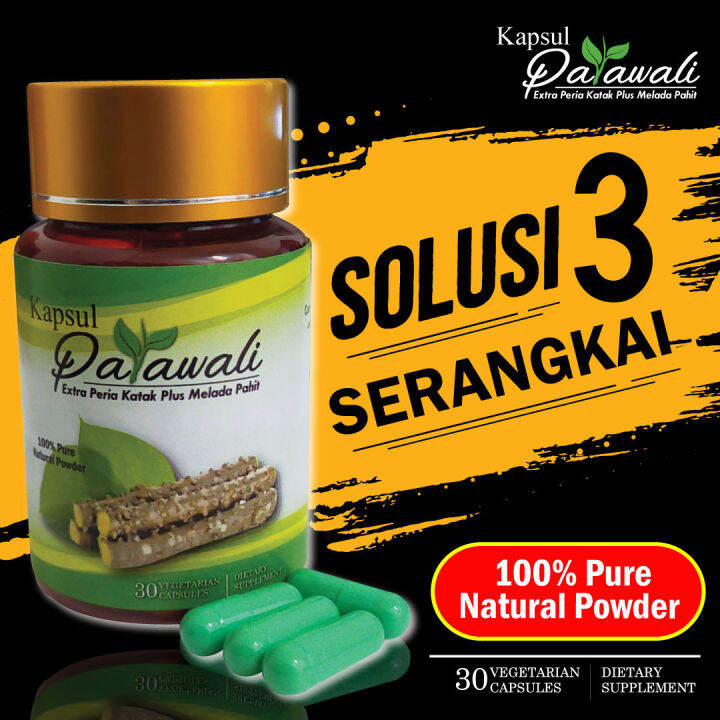 Pil Patawali Tinospora Crispa 100 Natural Herb Peria Katak Lazada