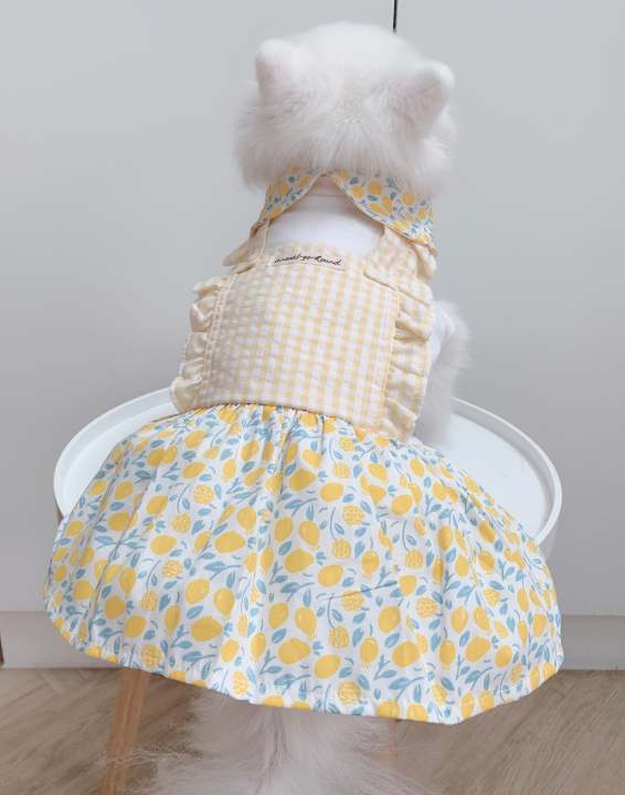 animal-go-round-เสื้อผ้าเครื่องแต่งกาย-สัตว์เลี้ยง-หมา-แมว-สุนัข-รุ่น-afternoon-lemon-tea-girl