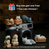 3D การ์ตูนคิตตี้แมวกล้องไฟฉายรองเท้าร้อนปกป้องปกสำหรับ Canon Nikon ฟูจิซัมซุง Leica olympu LUMIX mirrorless ครอบคลุม