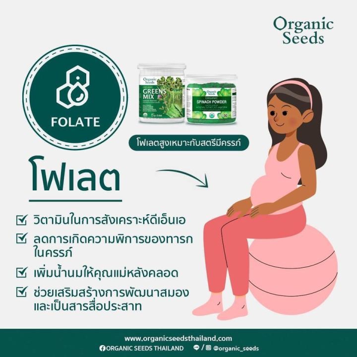 organic-seeds-ผงผักโขม-organic-spinach-powder-50g