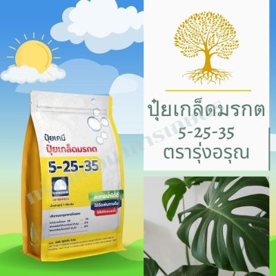 ปุ๋ยเกล็ด มรกต 5-25-35 1กิโลกรัม ตรารุ่งอรุณ ช่วยสะสมอาหาร สร้างแป้งน้ำตาล ช่วยสร้างตาดอก ช่วยควบคุมใบอ่อนให้แตกช้าลง