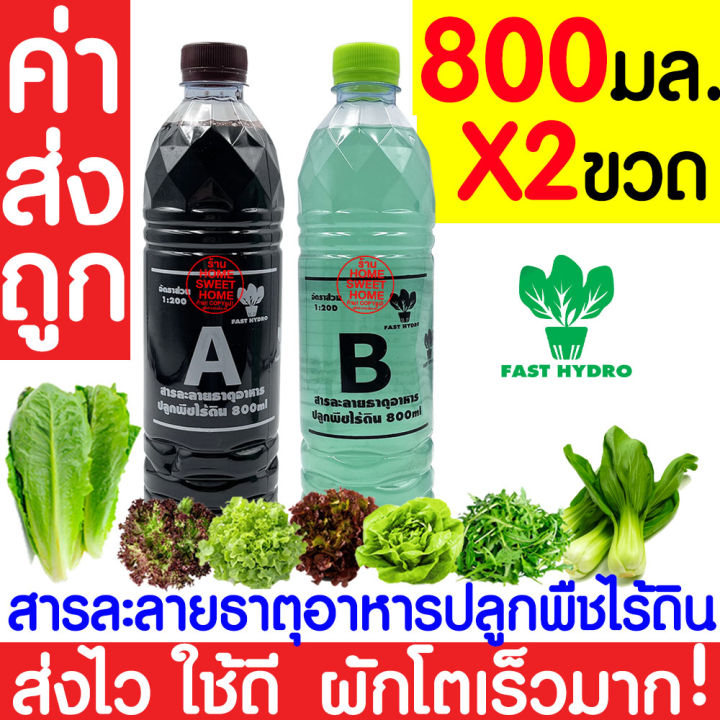 ค่าส่งถูก-สารละลาย-ab-800mlx2ขวด-ไฮโดรโปนิกส์-เอบี-ธาตุอาหาร-น้ำ-ผักไฮโดร-hydroponics-ผักสลัด-ผักไทย-ผักจีน-ปลูกพืชไร้ดิน-ปลูกผักไฮโดร-ส่งไว-ผักโตเร็ว-ขึ้นฉ่าย-คะน้า-กวางตุ้ง-คอส-ผักกาด