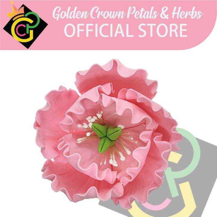 Baking supplies and equipment ♬Peony Pink Series 2023 Edible Cake