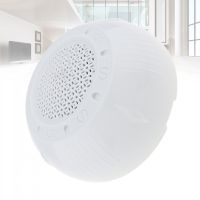 6W Surface Mount Microphone Input USB MP3 Player Ceiling Speaker Public Broadcast Background Music Speaker For restaurant Home