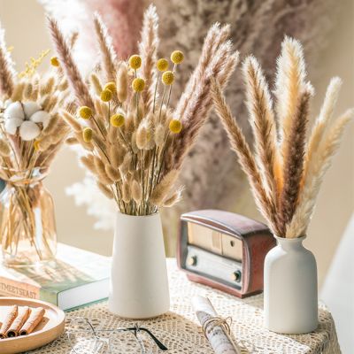 【cw】40-55cm Dried Reed Flower Arrangement,Natural Pampas Grass&amp;Phragmites Communis Plants Bouquet for Modern Home Decoration Ceremon