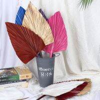 【YD】 Wedding Boho Trimmed Colorful Leaves Dried Spears