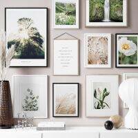 Nature Wall Art พิมพ์ภาพวาดผ้าใบของดอกทิวลิป,น้ำตก,สะพาน,และ Eucalyptus - Nordic โปสเตอร์และภาพพิมพ์สำหรับตกแต่งห้องนั่งเล่น