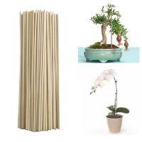Sticks Stakes Kit For Garden Plants Support Tomatoes Peas 50 Piece Garden Tool GOULD