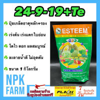 24-9-19 + TE ปุ๋ยเกล็ด ขนาด 1 กิโลกรัม เอสทีม ฉีดพ่นทางใย ระบบน้ำหยด บำรุงใบ เร่งแตกใบอ่อน ใบใหญ่ ใบหนา เร่งแตกราก ต้นพืชเติบโตได้ดี npkplant