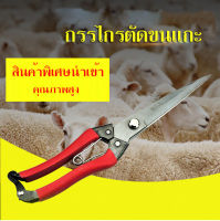 อุปกรณ์ตัดขนแกะ เครื่องตัดขนแกะ กรรไกรตัดขนแกะ