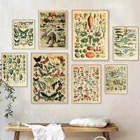 Demo แฟชั่น New Vintage Palaeobios Wall Art - Retro Butterfly &amp; Mushroom Canvas Prints For Room Decor