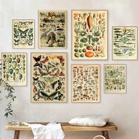 Demo Fashion Retro Botanical Canvas Art - Vintage Palaeobios Insect &amp; Mushroom Prints For Home Decor