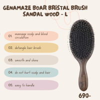 Genamaze Oval green rosewood bristle brush  hair massage hair comb - L หวีแปรงขนหมูป่าอย่างดี ช่วยถนอมเส้นผมและหนังศีรษะ ขนาดใหญ่