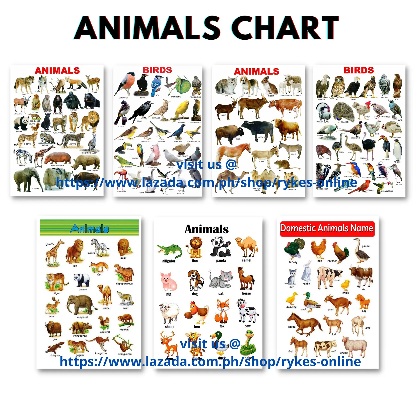 ANIMALS Educational Laminated Wall Chart | A4 Size | For Kids / Toddlers /  Preschoolers, Learning materials | Lazada PH