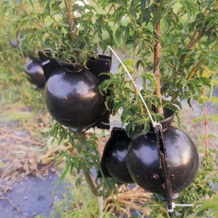 qkkqla-5pcs-5cm-plant-rooting-device-plastic-high-pressure-grafting-ball-boxes-growing-breeding-gardening-supplies-garden-tool