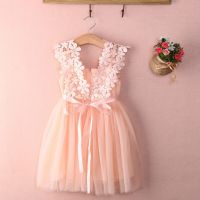 Wholesale Princess Toddler Kid Child Girl Tutu Dress Lace Tulle Party Wedding Birthday Dresses For Girls Summer Sleeveless  by Hs2023