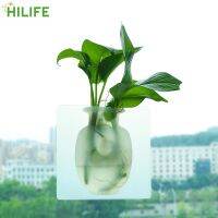 Indoor Drilling-Free Wall-Mounted Silicone Vase Reusable Wall Vases