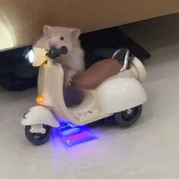 Hamster Toys 360-Degree Rotation Motorcycle Lighting Electric Pet Rat Toy Hamster Accessories Motorcycle Electric Toys Rabbit