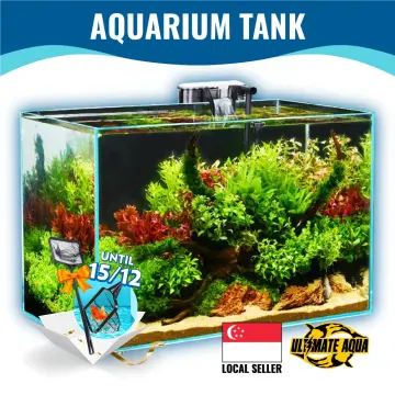 2ft Fish Tank - Best Price in Singapore - Apr 2024