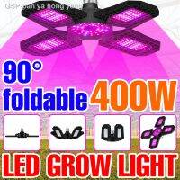 ♀Phytolamp หลอดไฟ Grow UV โคมไฟไฮโดรโปนิกส์200W 300W 400W