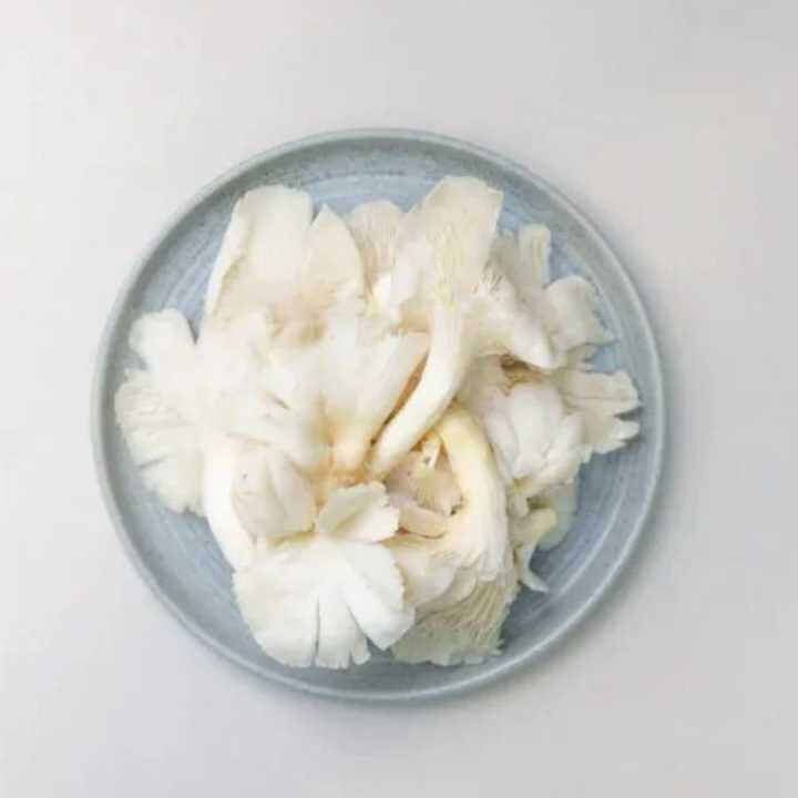 JAMUR TIRAM SELALU FRESH UNTUK OLAHAN SAYUR Lazada Indonesia