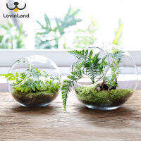 Lovinland Hydroponic แจกัน Succulent Terrarium คอนเทนเนอร์กระถางดอกไม้หน้าแรกงานแต่งงาน Decor Miniture จอแสดงผลแจกันแก้ว