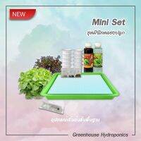 ?น่าซื้อ Mini set ชุดมินิทดลองปลูกผักระบบไฮโดรโปนิกส์ สุดคุ้ม คุณภาพดี