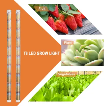 T8 Led Grow Light Best In