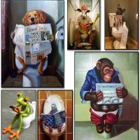 Sumanssa Funny Animal Toilet Poster-นั่งอยู่บนห้องน้ำและอ่าน NewsCanvas Print Painting Wall Mural For Bathroom Toilet-ปรับแต่งได้