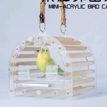 Acrylic best sale bird carrier