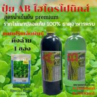 ปุ๋ย AB hidroponik ชุดA1ลิตร B1ลิตร สำหรับผักสลัด ปุ่ยไฮโดรโปนิกส์ แถมเมล็ด คิ่งฉ่าย