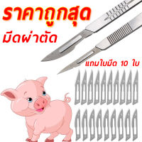 มีดผ่าตัด เบอร์ 11/23 มีดตอนหมู มีดตัดแต่ง สแตนเลส แถมใบมีด 10 ใบ