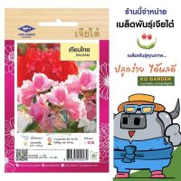 CHIATAI ?? ดอกไม้ เจียไต๋ H020#เทียนไทย  ดอกไม้ซอง ผักซอง เมล็ดพันธุ์ เมล็ดพันธุ์ผัก  เมล็ดพันธุ์ดอกไม้ ดอกไม้เจียไต๋ ตราเครื่องบิน