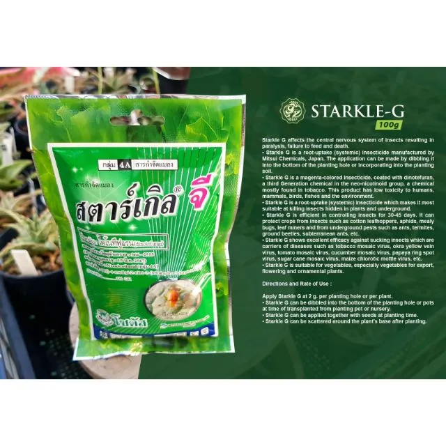 gooodfghkkkt kleG 100Grams (Systemic Insecticide) | Lazada PH