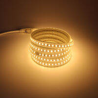 IP67 Waterproof LED Strip Light AC 220V 5730 120LEDM Tira 4000K 6000K 3000K Ruban Warm Cold White 2M 3M 5M 6M 8M 10M 30M Band