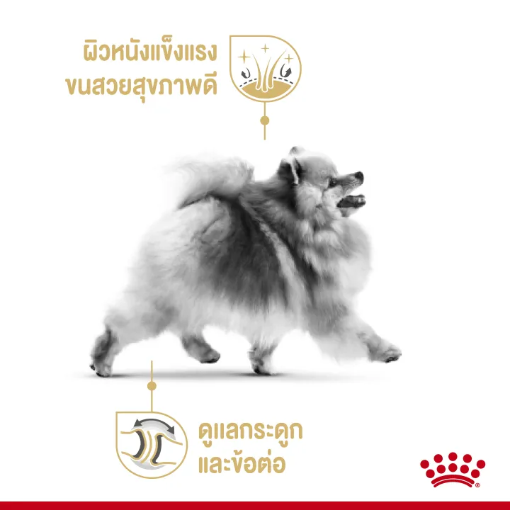 12ซอง-royal-canin-pomeranian-wet-85g-อาหารเปียกสำหรับสุนัขสายพันธุ์ปอมเมอเรเนียน