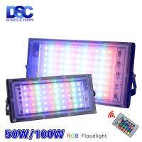 124pcslot 100W 50W RGB Flood Light Lamp AC220V Outdoor Lighting Floodlight Waterproof Reflector Led Rgb Spotlight with Remote