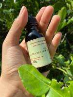 Kaffir Lime Oil น้ำมันผิวมะกรูด สกัดเย็น บริสุทธิ์ 100% ผลิตจากผิวมะกรูดล้วน ไม่มีส่วนผสมอื่น