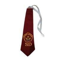 Elementary School Ties For Women And Boys Embroidery