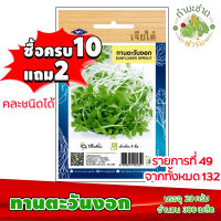 (ซื้อ10แถม2) เมล็ดพันธุ์ ทานตะวันงอก Sunflower sprout ประมาณ 300เมล็ด ต้นอ่อนทานตะวัน เจียไต๋ เมล็ดพันธุ์พืช เมล็ดพันธุ์ผัก เมล็ดผัก เม็ดผัก