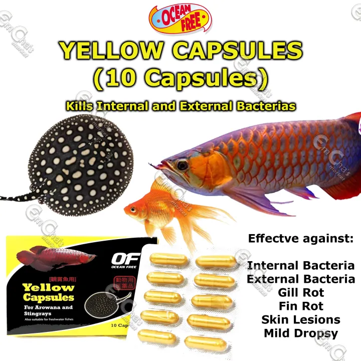 Ocean Free 10pcs Yellow Capsules Treatment for Arowana, Stingrays, Koi