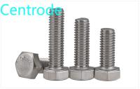 304 stainless steel external hexagon screw extended full thread external hexagon bolt / screw DIN933 2PCS