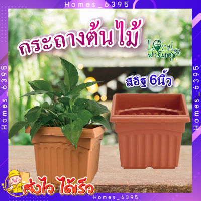 Tree O กระถางต้นไม้ พลาสติก สี่เหลี่ยม 🌻 รุ่น KD4001 ขนาด 6นิ้ว สีอิฐ กระถางต้นไม้ กระถาง กระถางพลาสติก อย่างดี homes